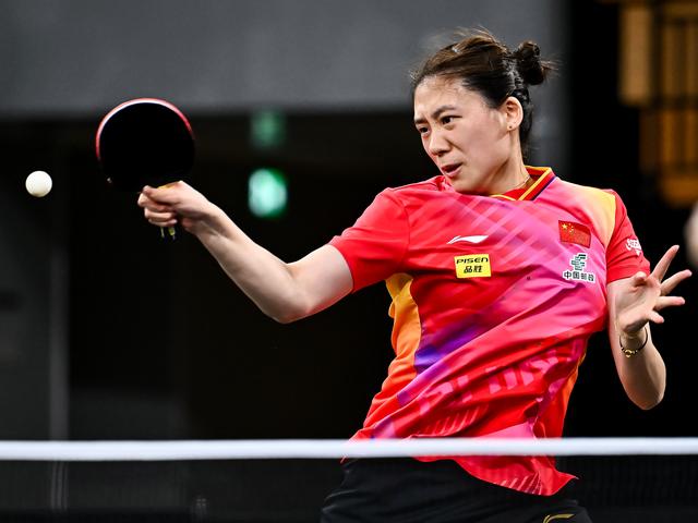 真实的参照 真实的参照